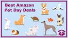 Image for Amazon Pet Day Is Happening Now: Here Are All The Best Deals So Far