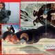 Image for The 9 Best Mission: Impossible Stunts, Ranked By How Impossible They Are