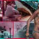Image for 10 Shark Movies to Sink Your Teeth Into (That Aren’t Jaws)