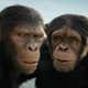 Image for The box office smiles on the Kingdom Of The Planet Of The Apes