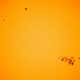 Image for Still Have Your Eclipse Glasses? Use Them to Look at This Massive Sunspot