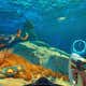 Image for Subnautica Director Breaks Silence On Being Removed From The Studio Before The Sequel's Release: 'The Game Is Ready'