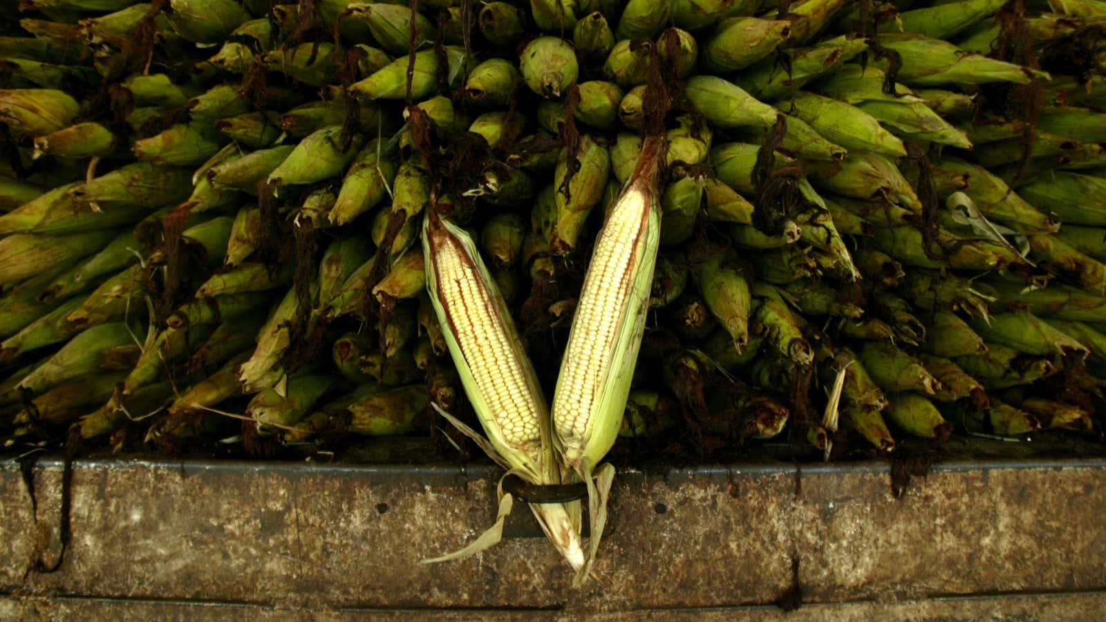 Measuring the world’s food supply.