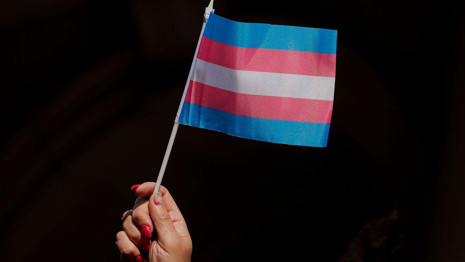 A person holds up a flag during rally to protest the Trump administration’s reported transgender proposal to narrow the definition of gender to male or…