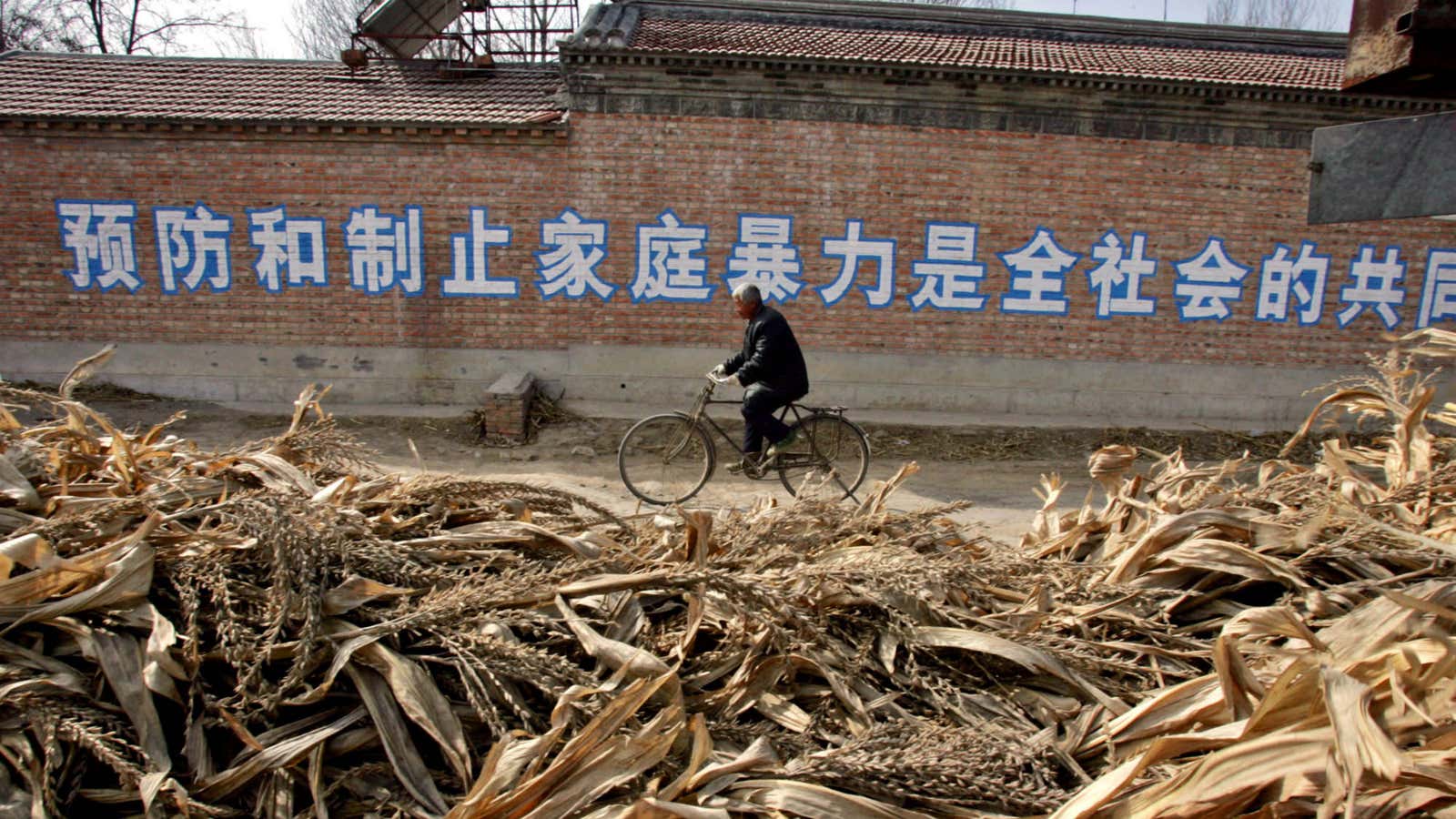 A man cycles past a wall painted with an anti-domestic violence slogan in the rural province of Hebei in Northern China.