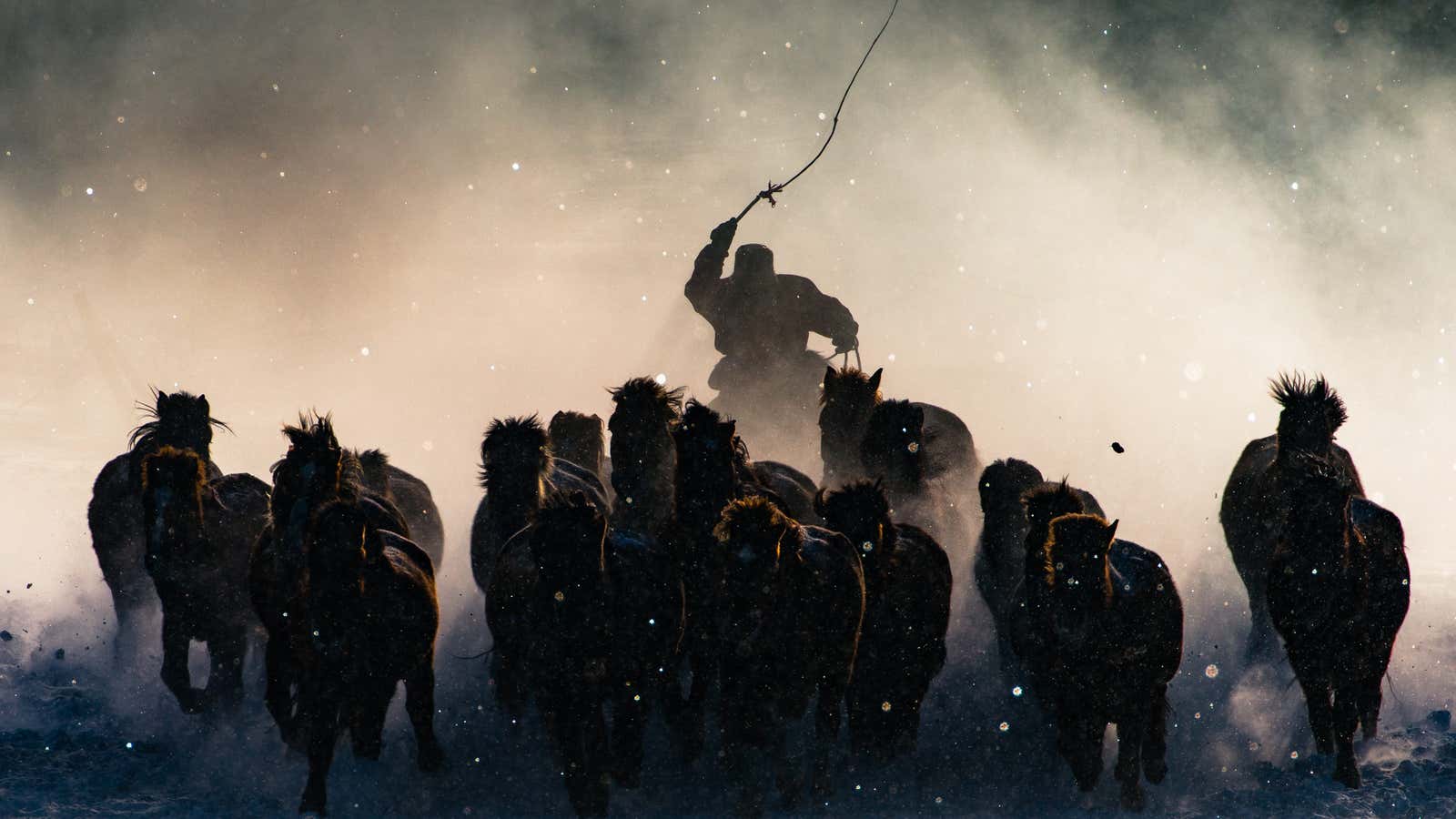 Winter Horseman, grand prize. (National Geographic Travel Photographer of the Year Contest/Anthony Lau)