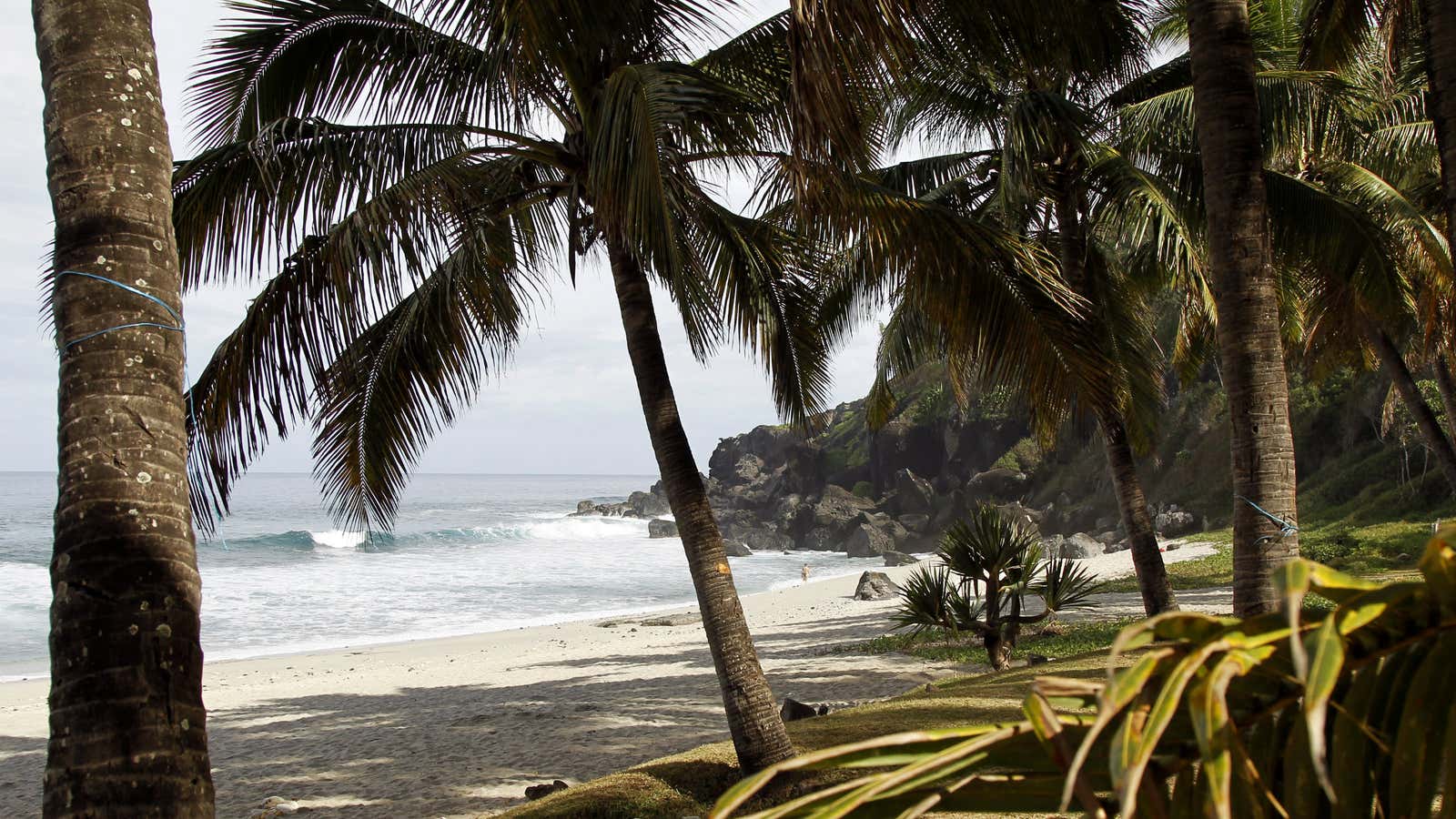 Grande Anse beach on La Réunion island.