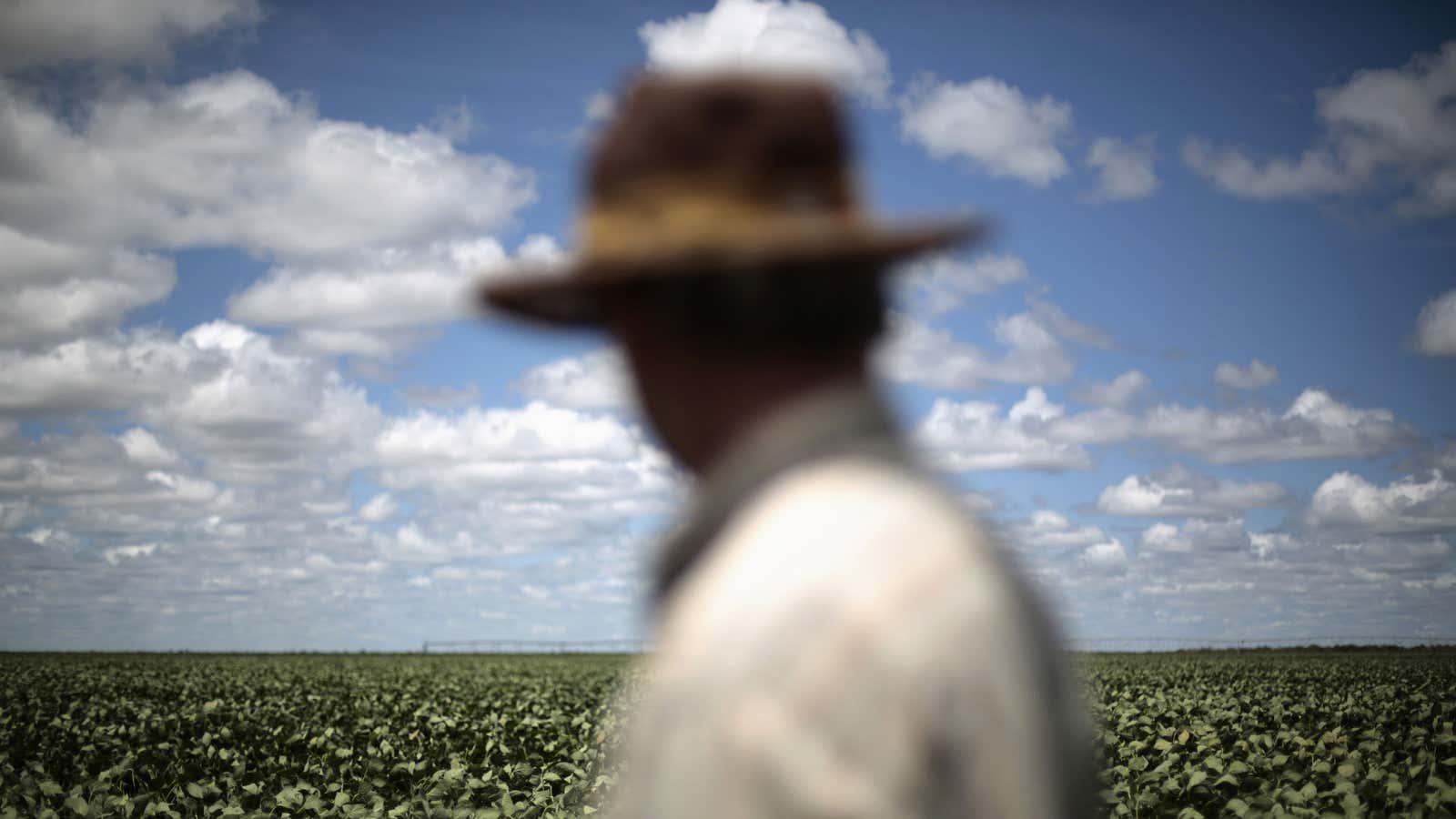 Before you get an MBA, consider working on a farm.