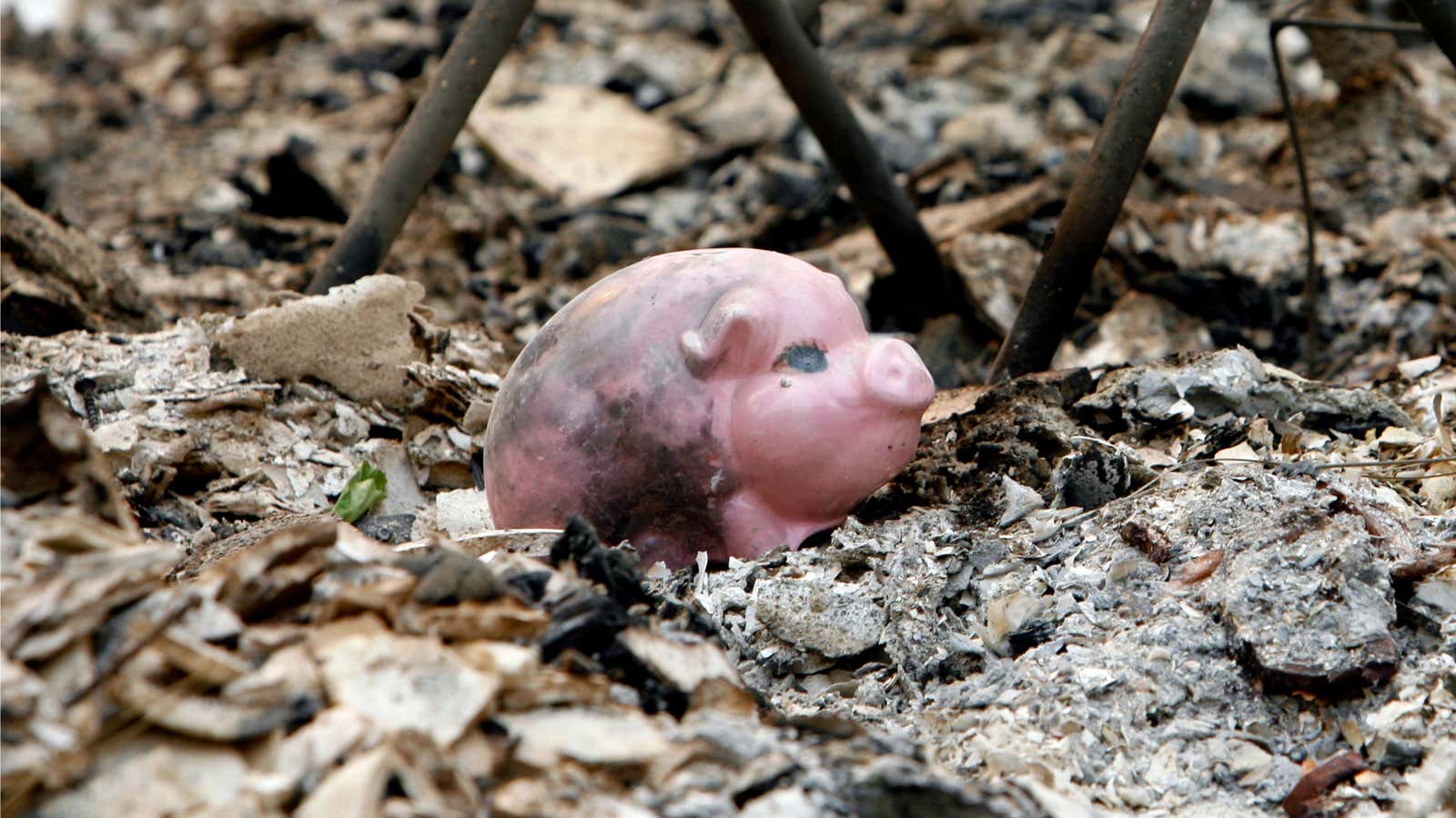 This little piggy….is empty.