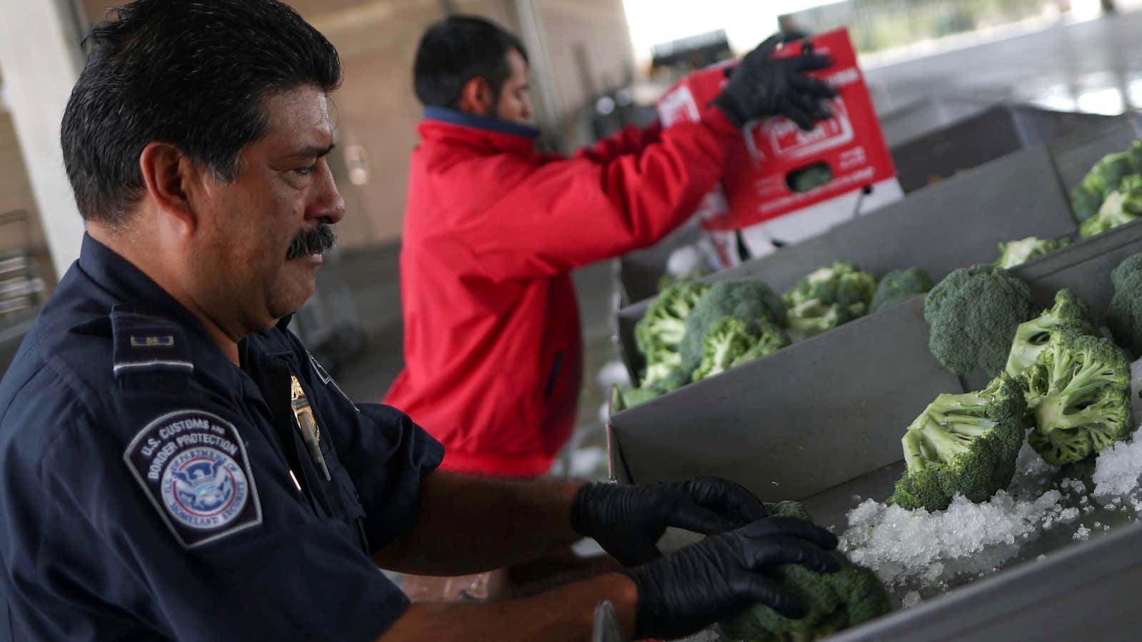 Checking Mexican goods at the US border.