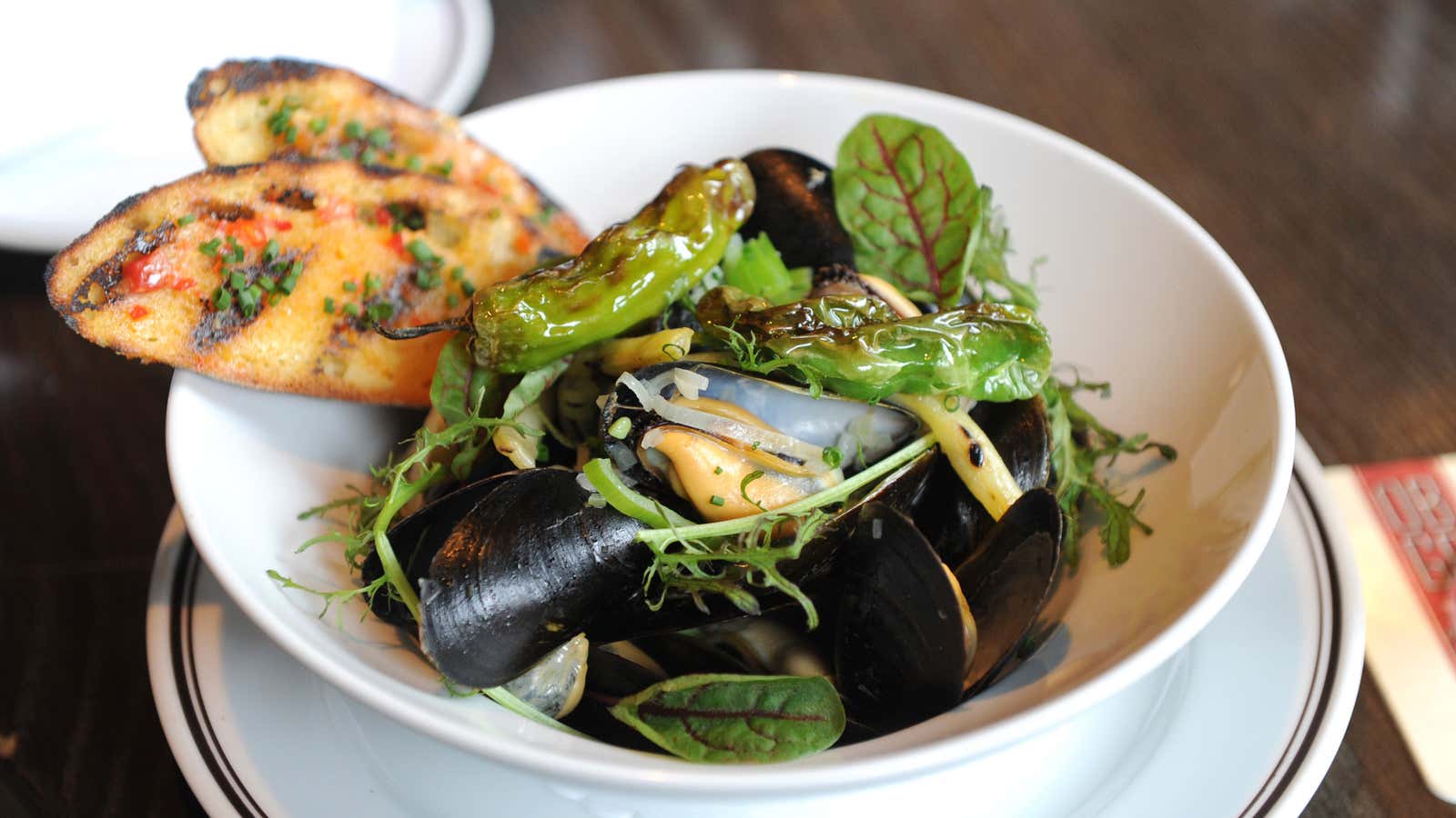 Mussels are a cheap and tasty miracle food, and we should all eat more ...