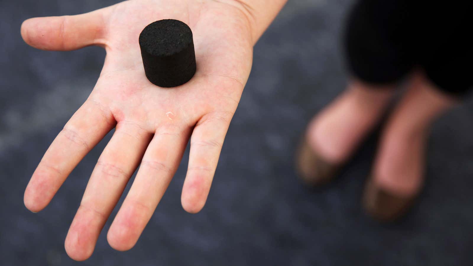 Biochar, a charcoal-like product made from human waste, used as cooking fuel or fertilizer, shown in an exhibition in New Delhi, India.