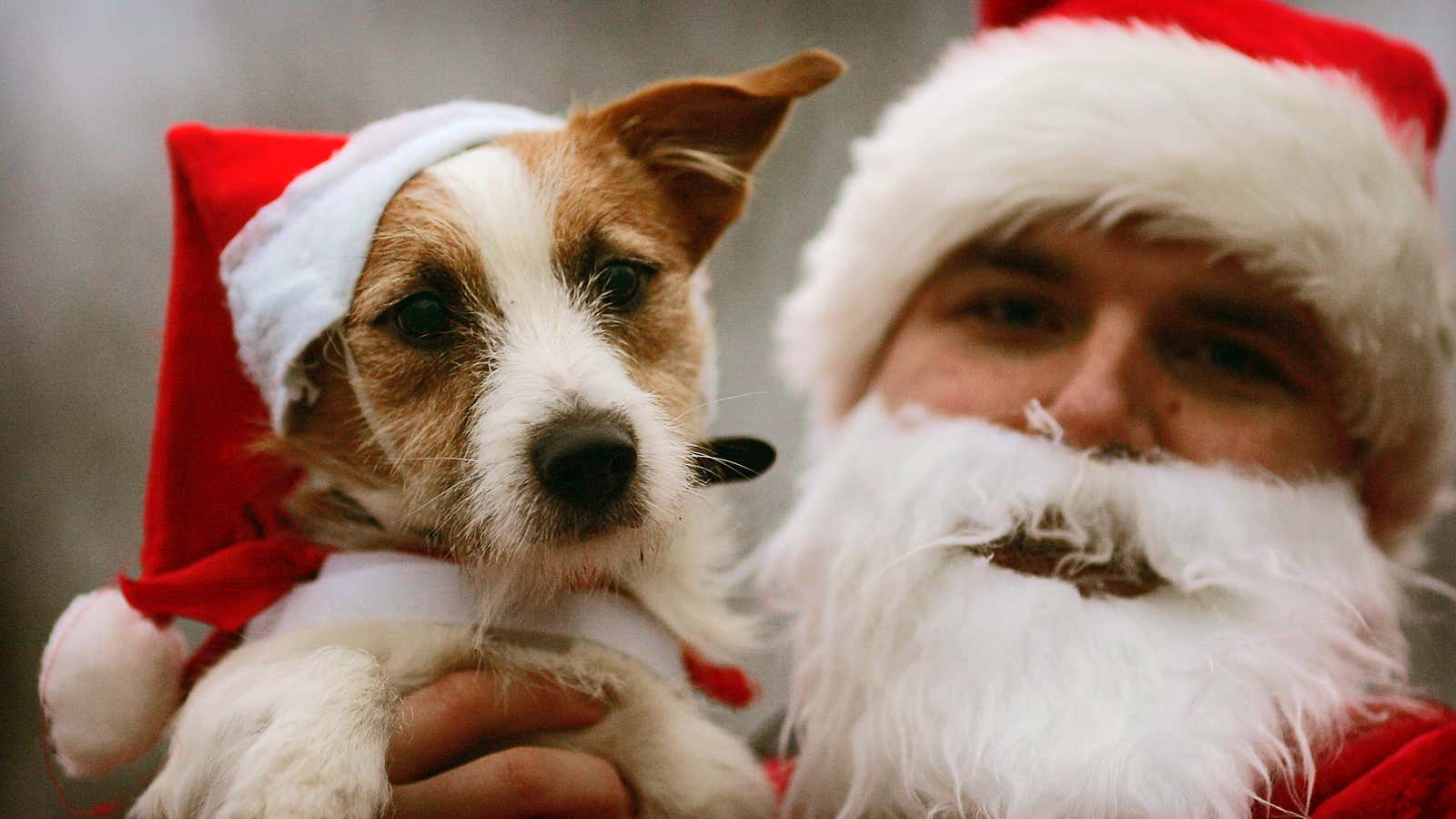 A man dressed in Santa Claus costume poses with his dog for a photo during the annual Santa Claus parade in Brandenburg December 9, 2006.…