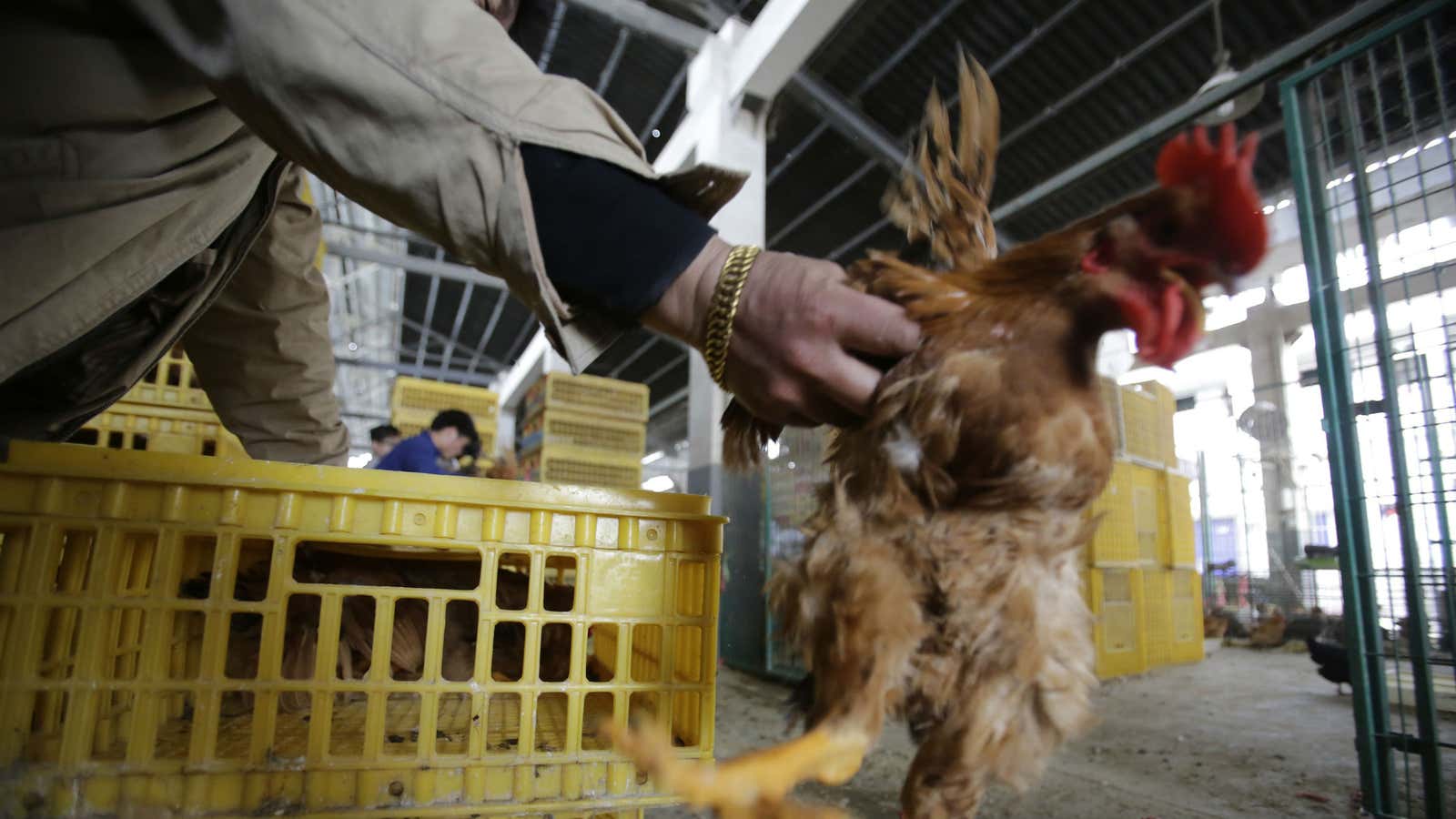 China’s chickens are causing problems for Yum Brands and KFC