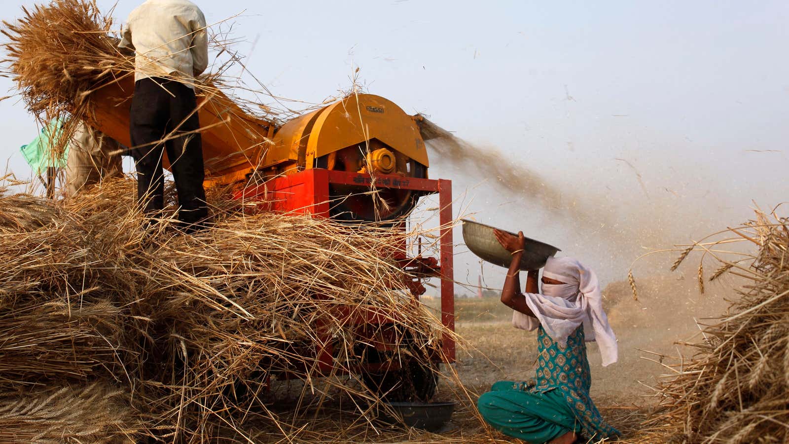 A successful agribusiness is no longer a needle in a haystack.