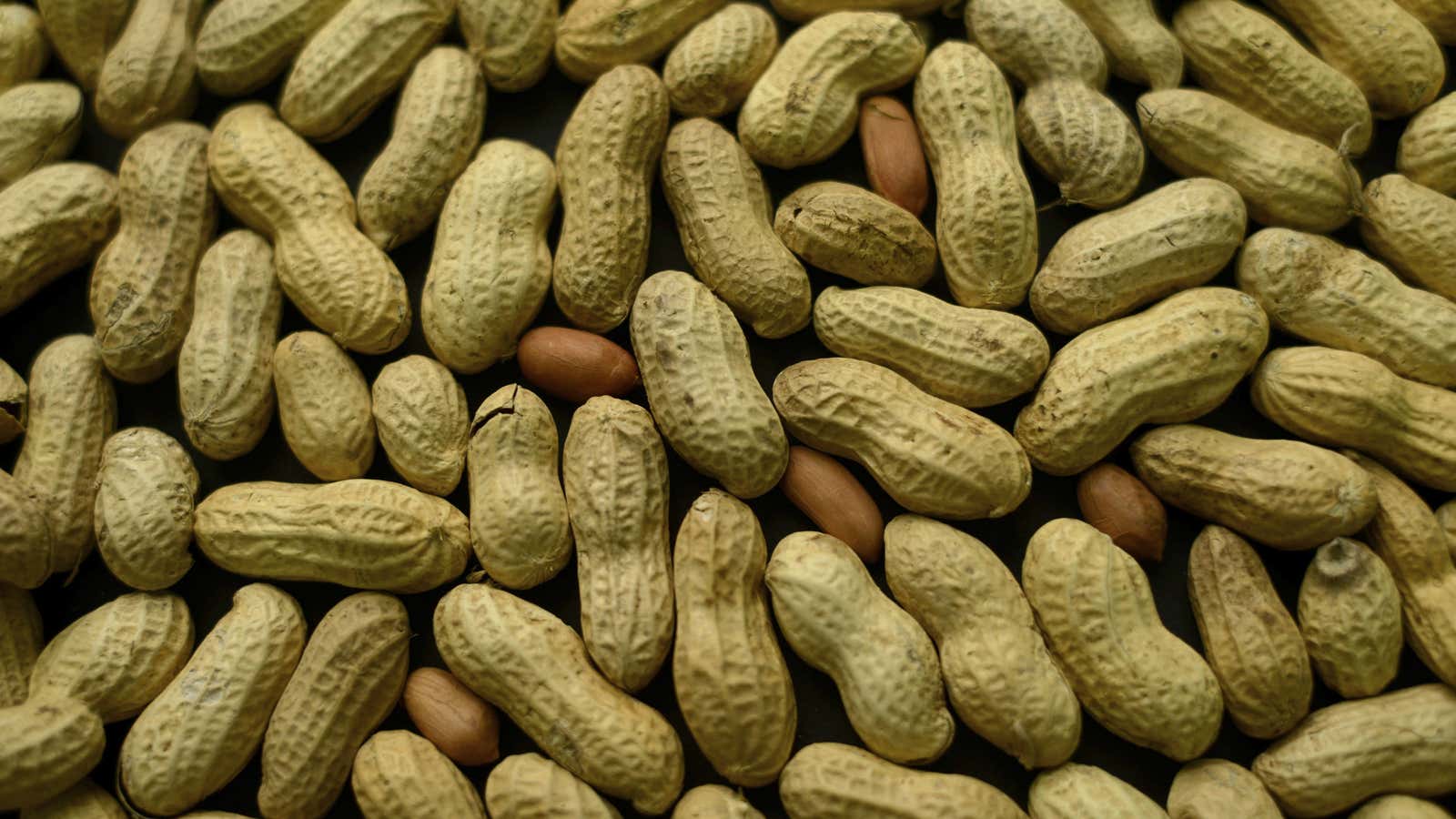 Researchers in Australia are sharing details from a promising breakthrough in the treatment of peanut allergies in children.