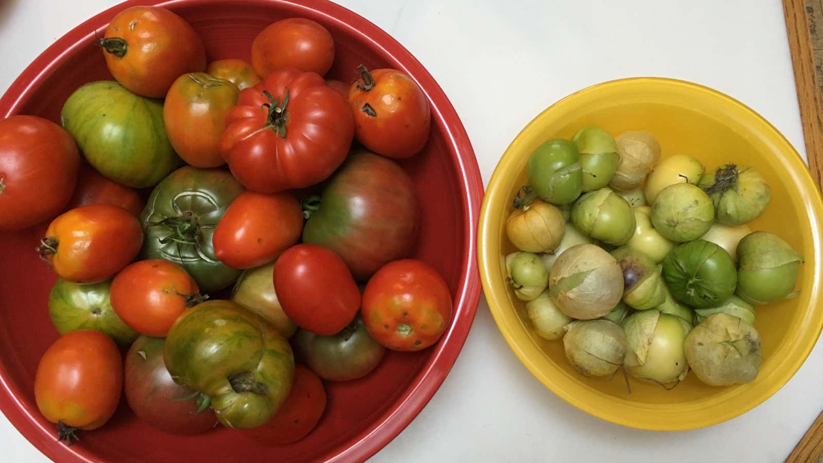 Last summer’s bounty.