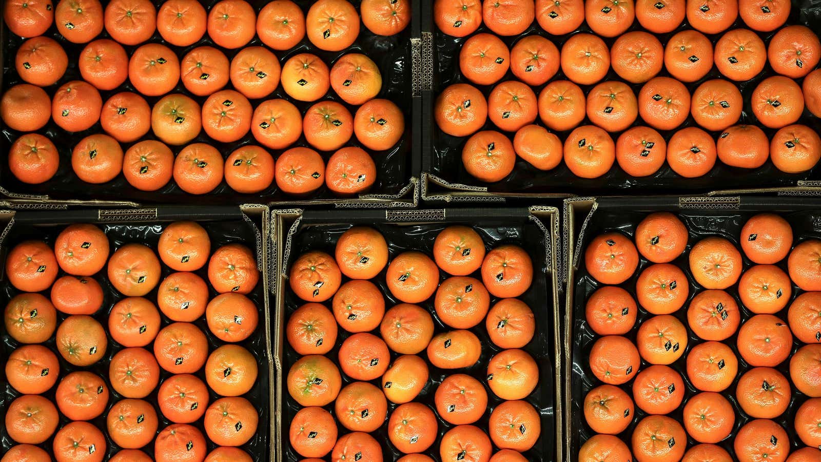 Orange you glad you started prepping?