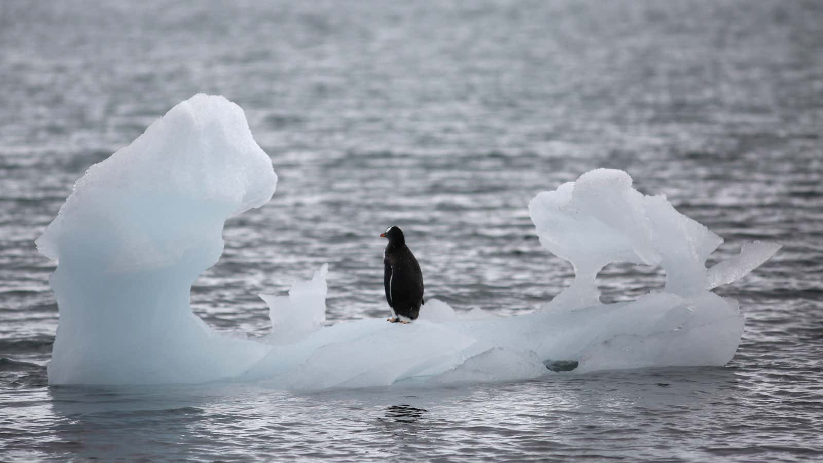 Climate change; language change.