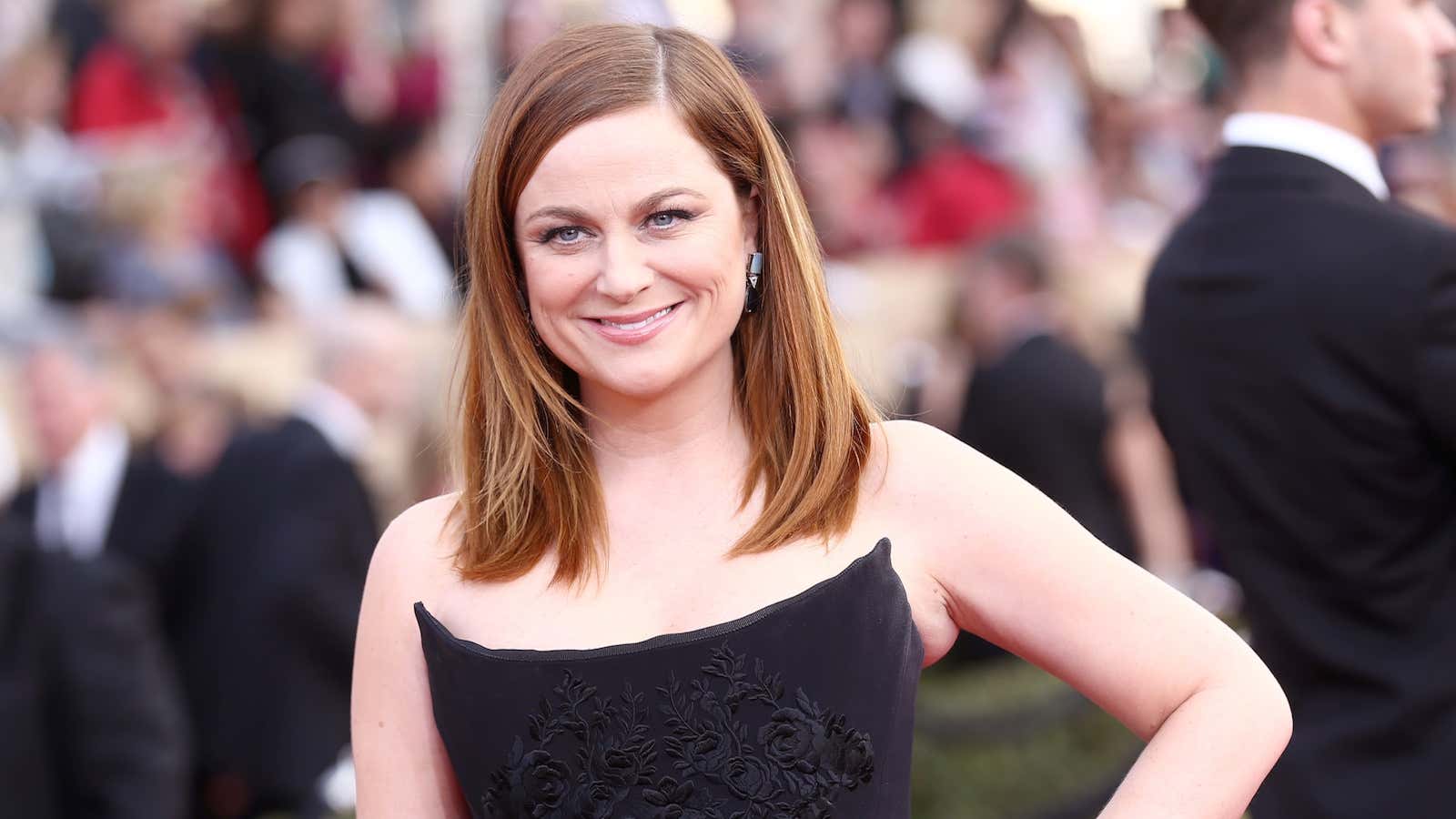 Amy Poehler uses five times as much water as the average American family