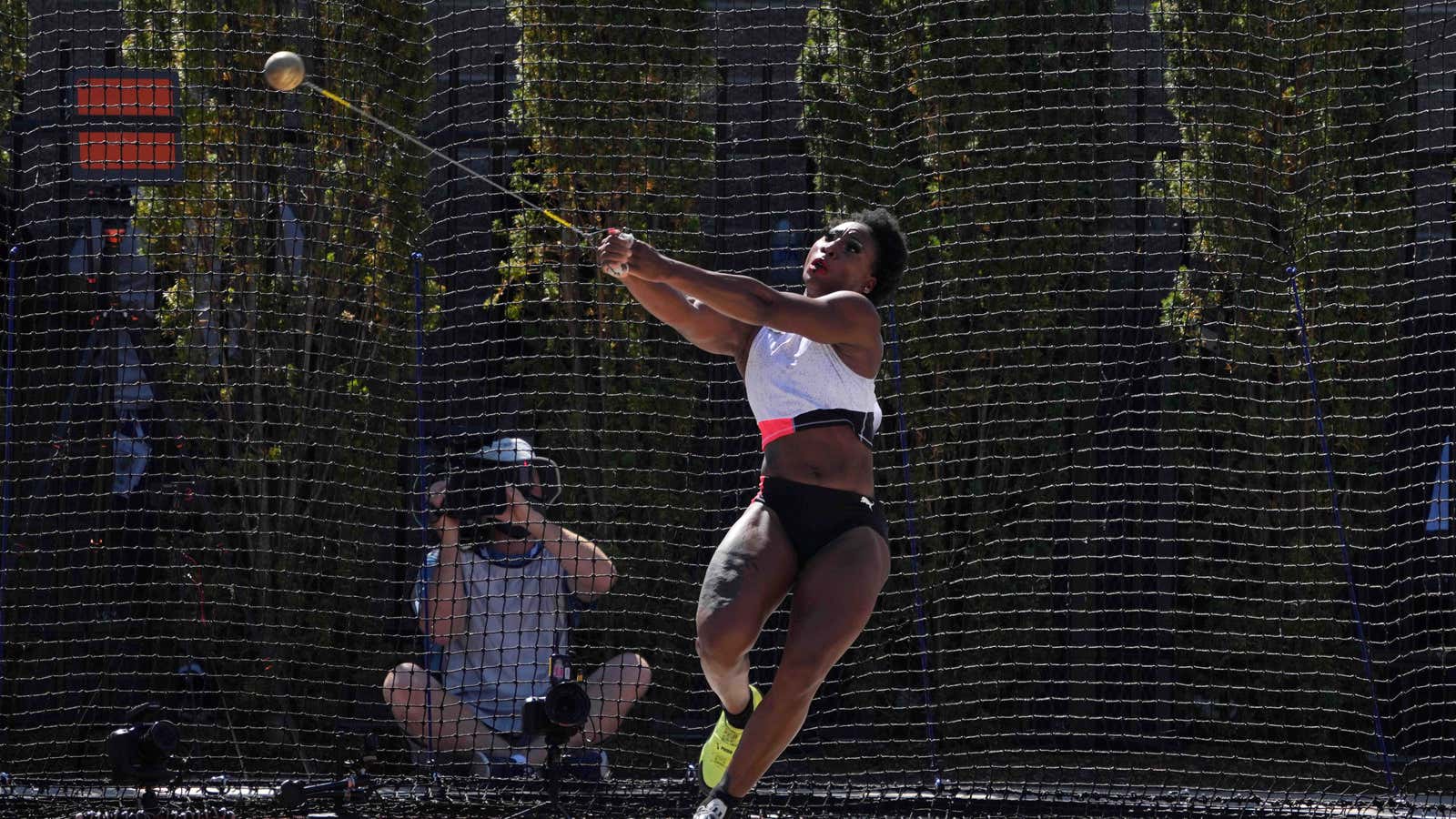 Where do pole vaulting, the triple jump and the hammer come from?