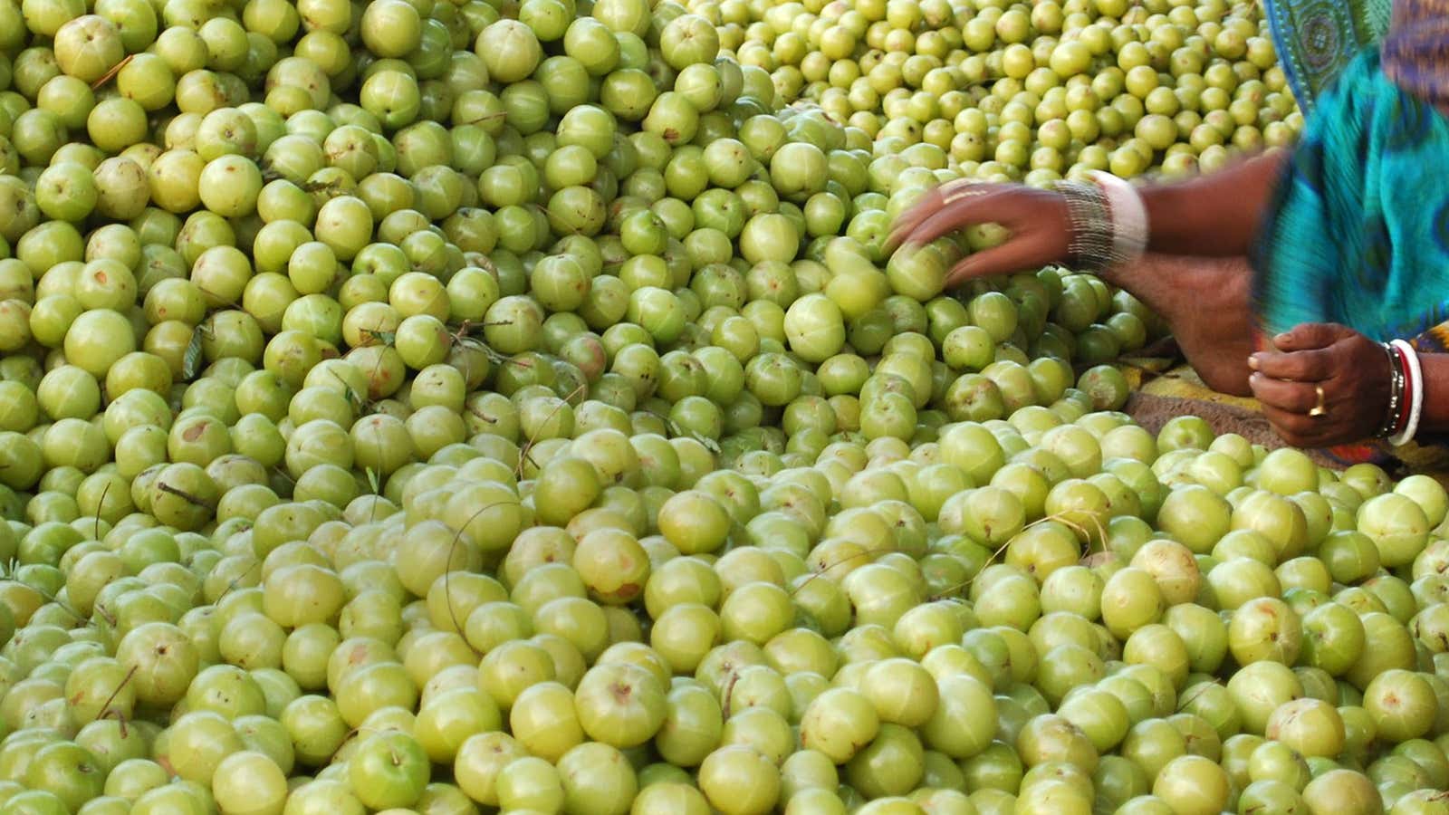 A Grade Fresh Amla Fruit, Packaging Size: 5 Kg, Packaging Type: Carton at  Rs 250/kg in Keeramangalam