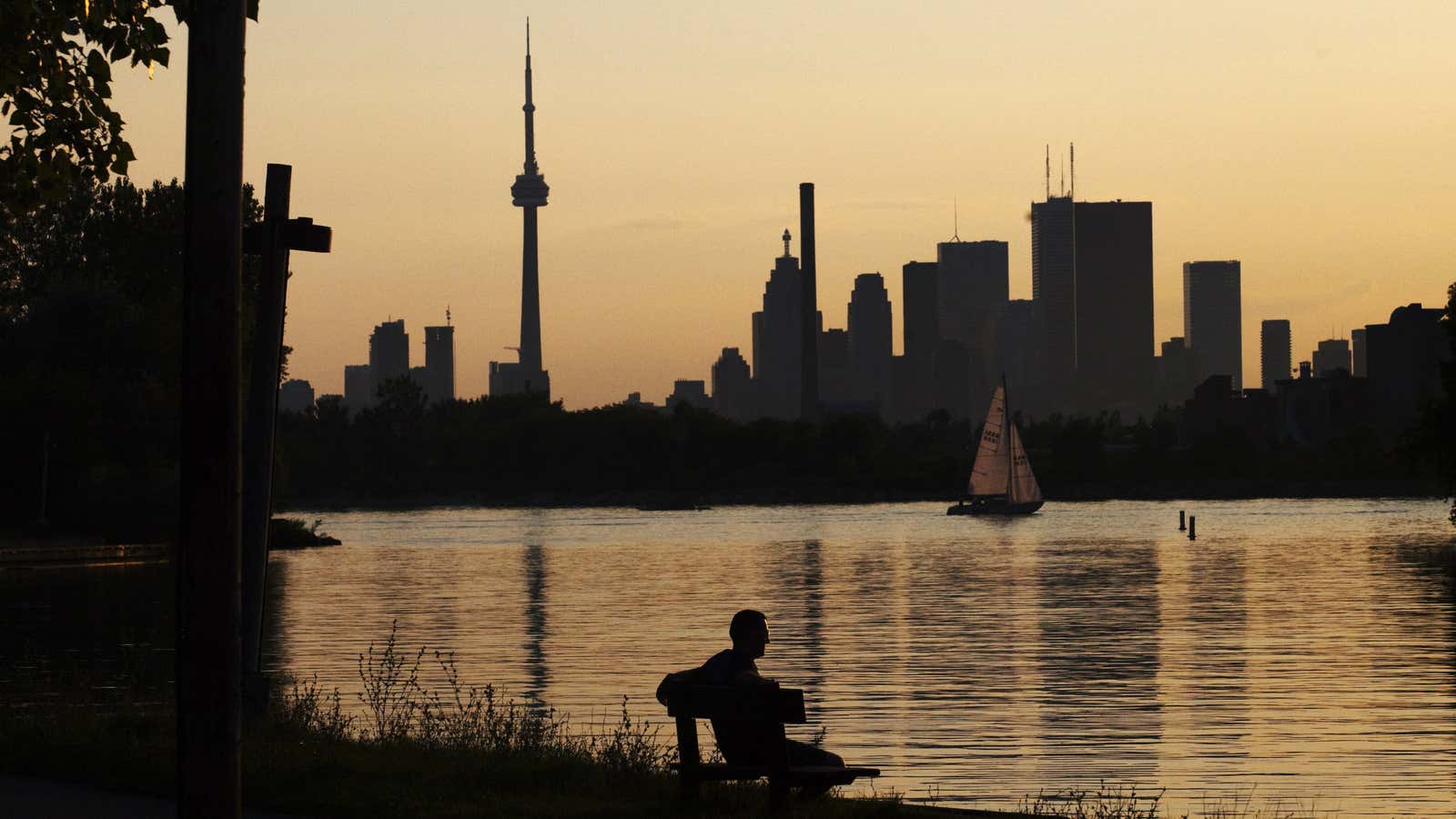 “You can’t just steal money from China and then enjoy life in Canada.”