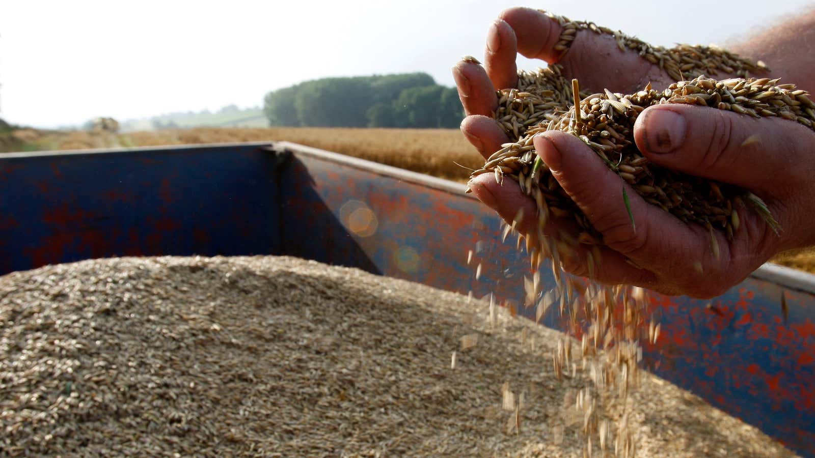 America’s hottest milk is made from oats.