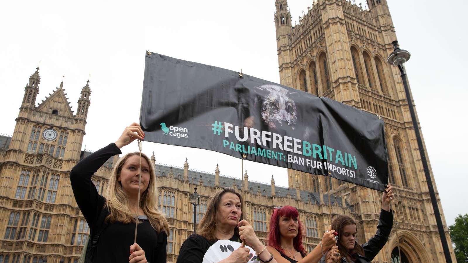 Protesters calling for a ban on fur imports outside Westminster, where Parliament is debating the topic.