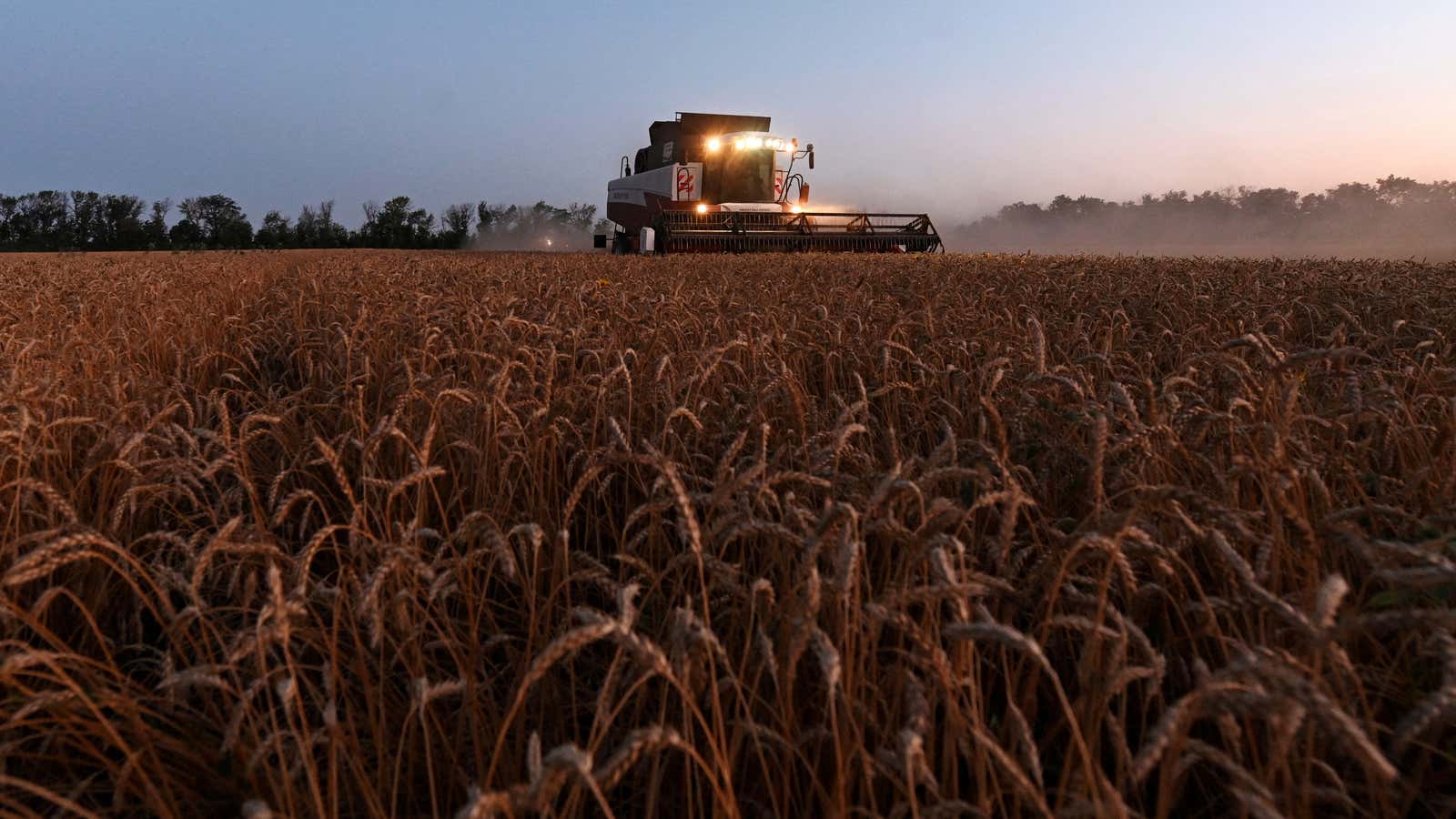 Russia supplies about 20% of world wheat exports.