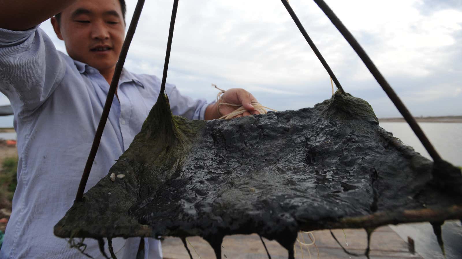 A glob of oil washed ashore after the 2011 Bohai Sea spill.