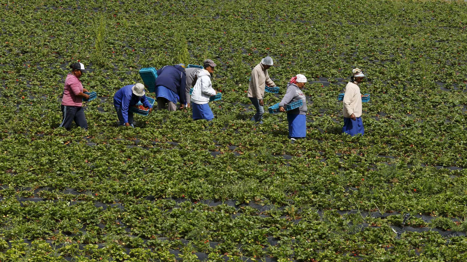 Just some of the workers who will fall through the cracks.