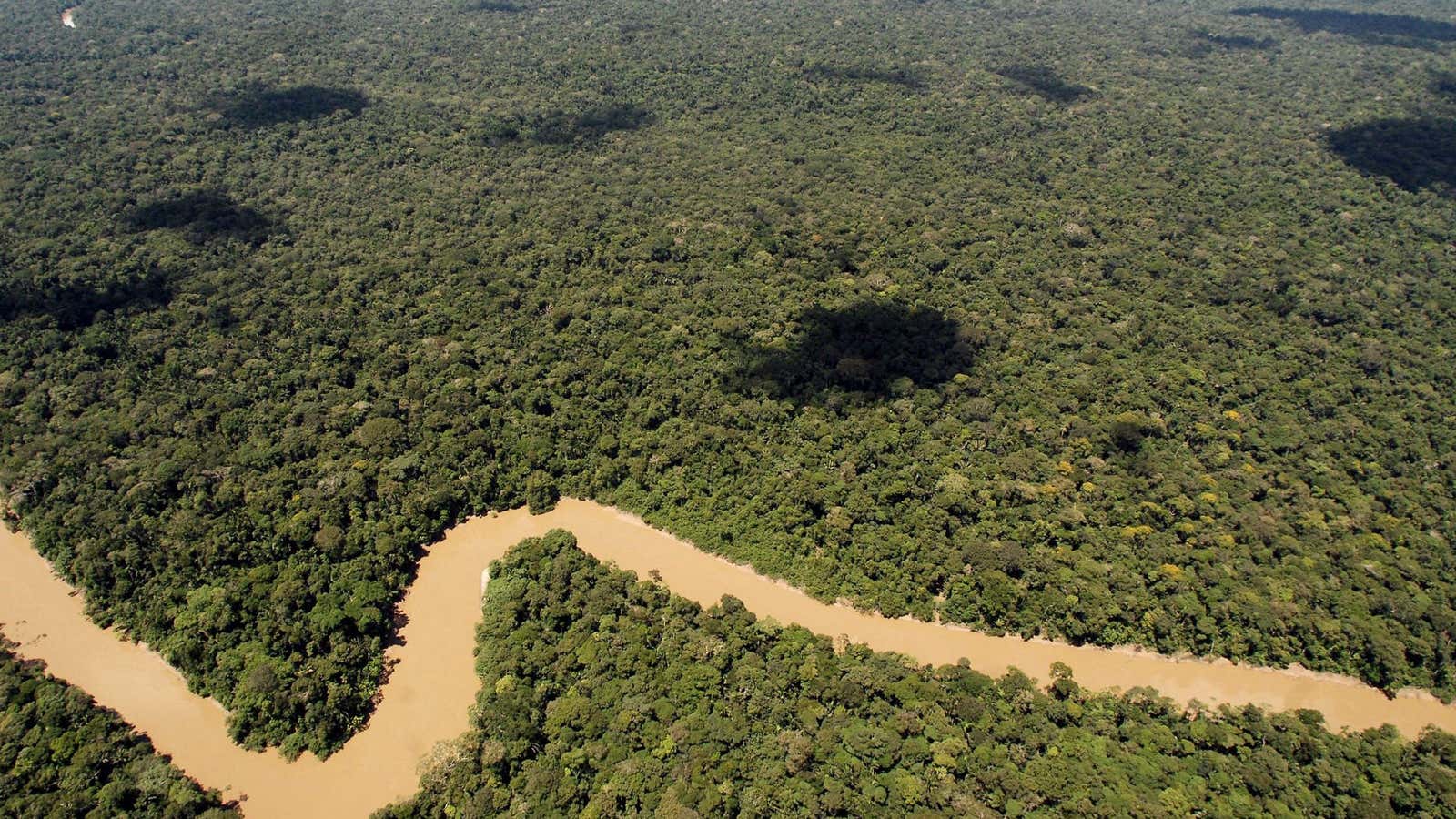 WWF climate-change report warns the Amazon could lose half its wildlife ...