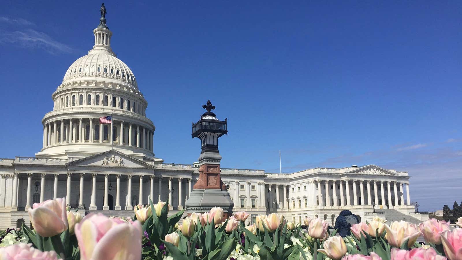 Mulling capital in the capitol.