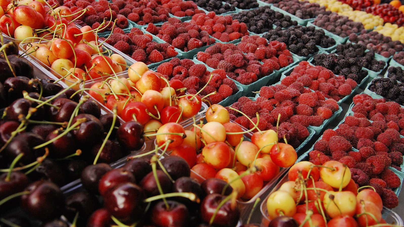 Despite America’s growing love for farmers’ markets, it’s looking unlikely that the presidents proposed farm bill will prioritize them.