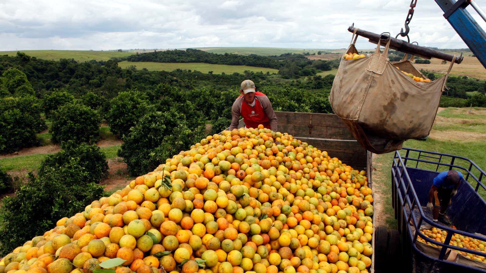 Brazil exports a lot of oranges—and a lot of illicit capital.