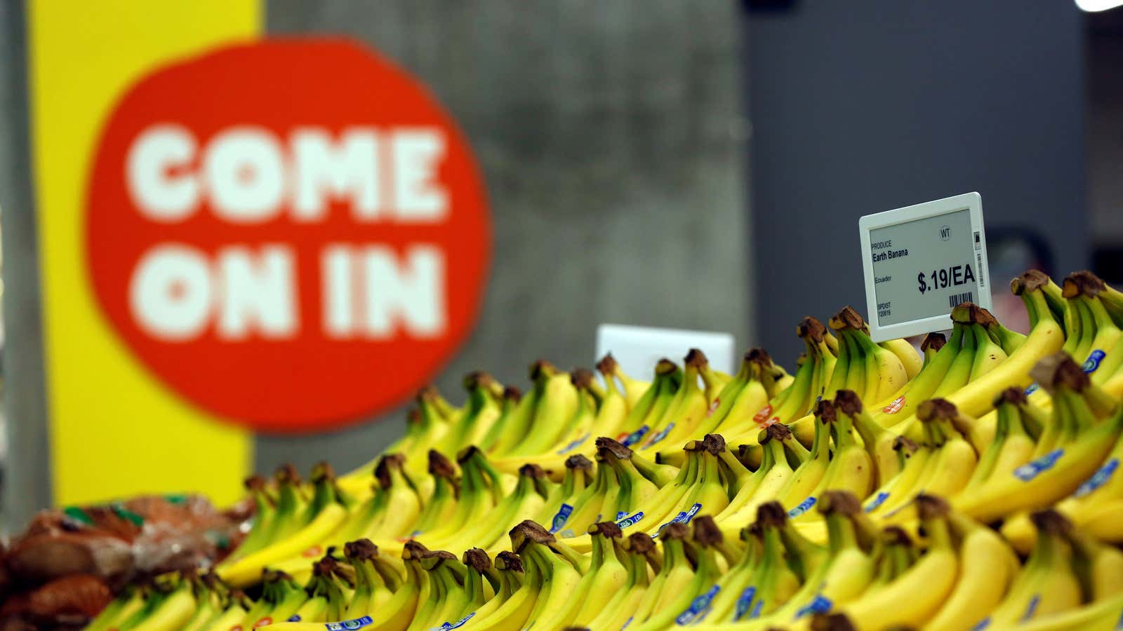 The grocery price wars are raging. Bananas are weapons.