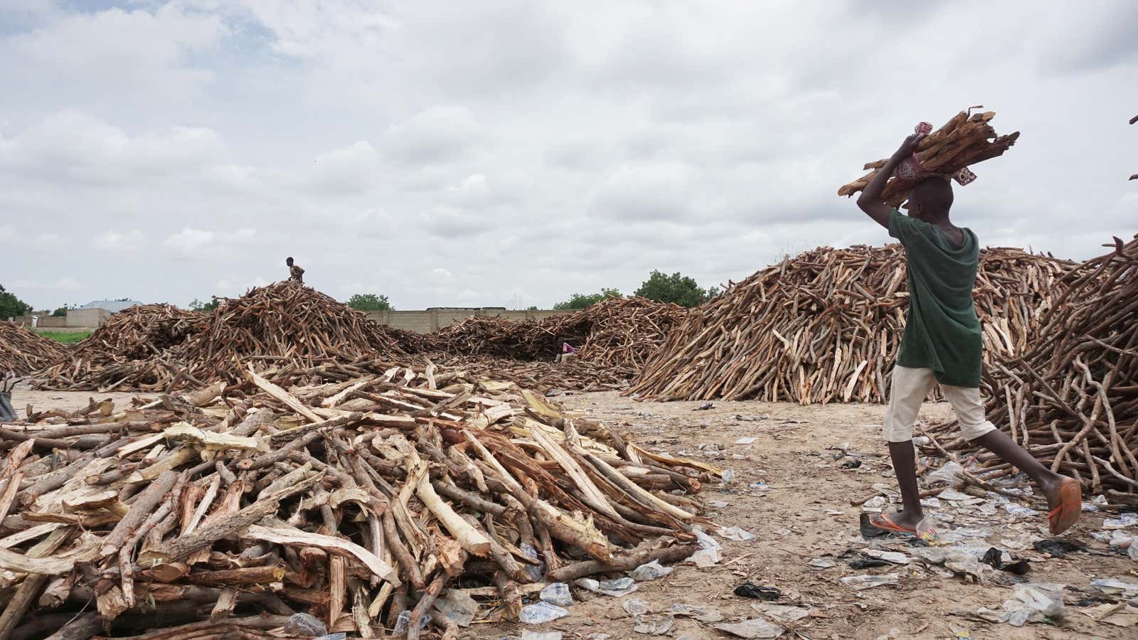 Maiduguri’s wood market