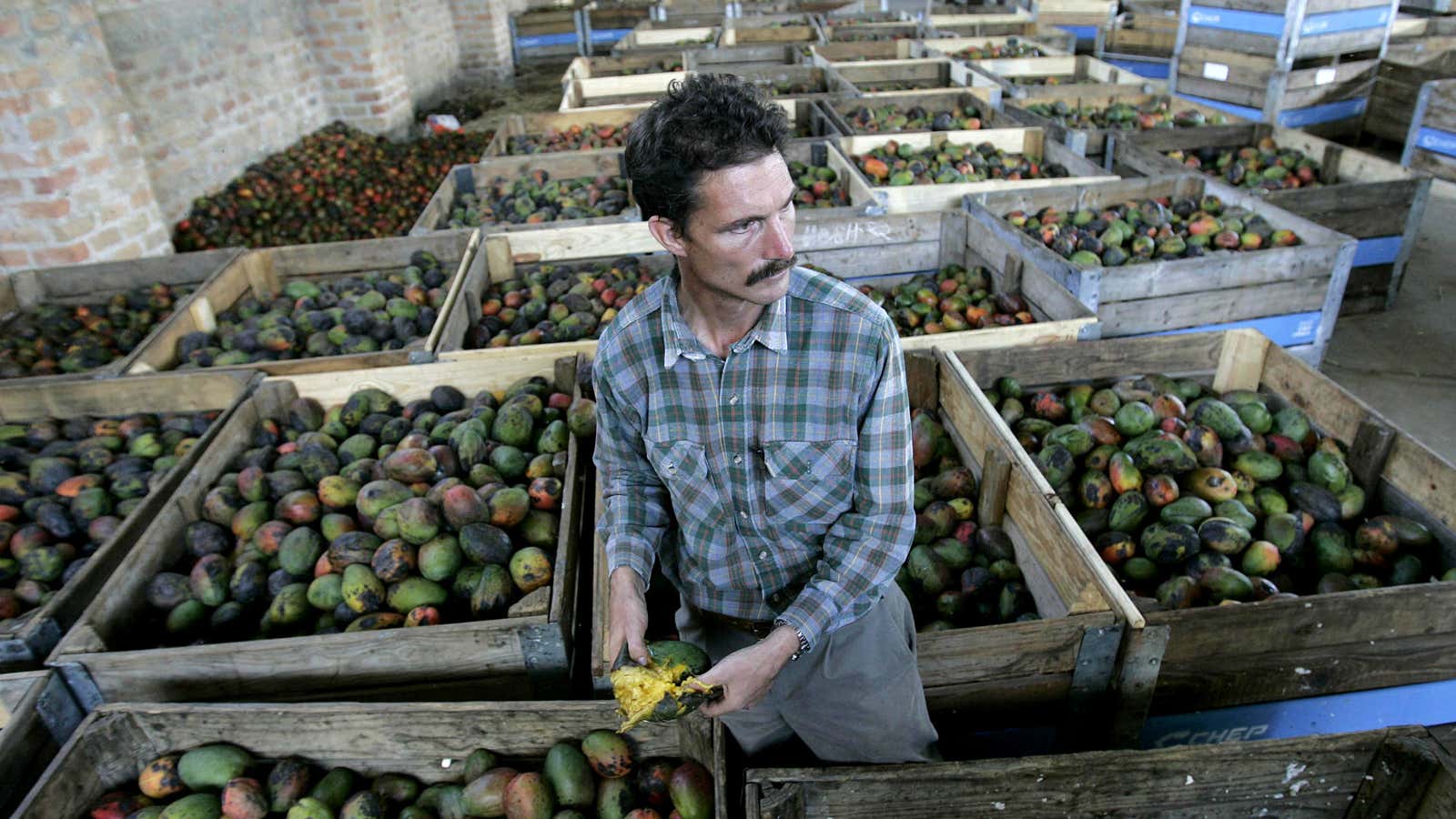 One of the few white Zimbabwean farmers who remained in 2009.