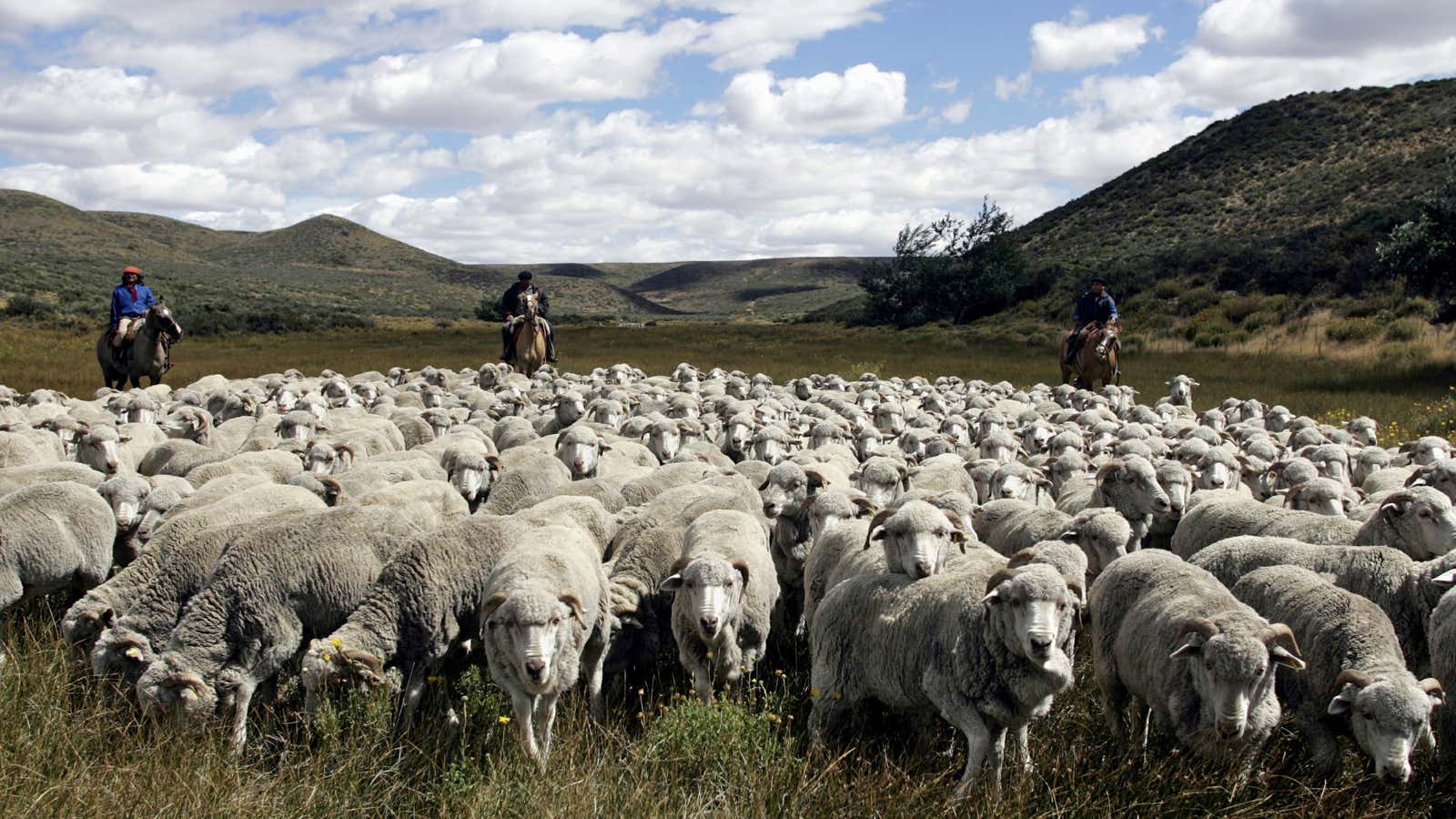 Patagonia—an Argentine region and a US company.