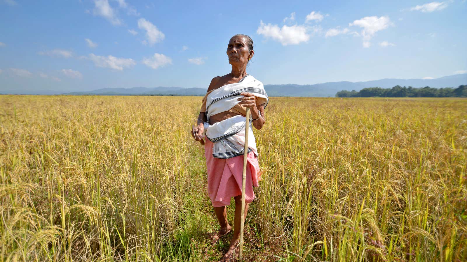 Lessons learned by funding farmers in India are more applicable to Uber drivers than you might expect.