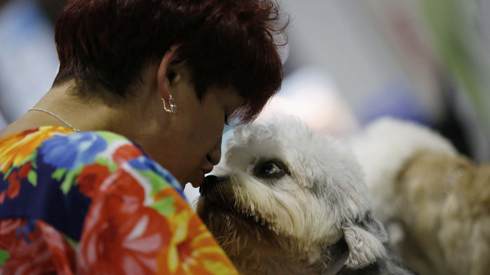 A study published in Nature’s Scientific Reports shows pet dogs may synchronize their stress levels with those of their owners.