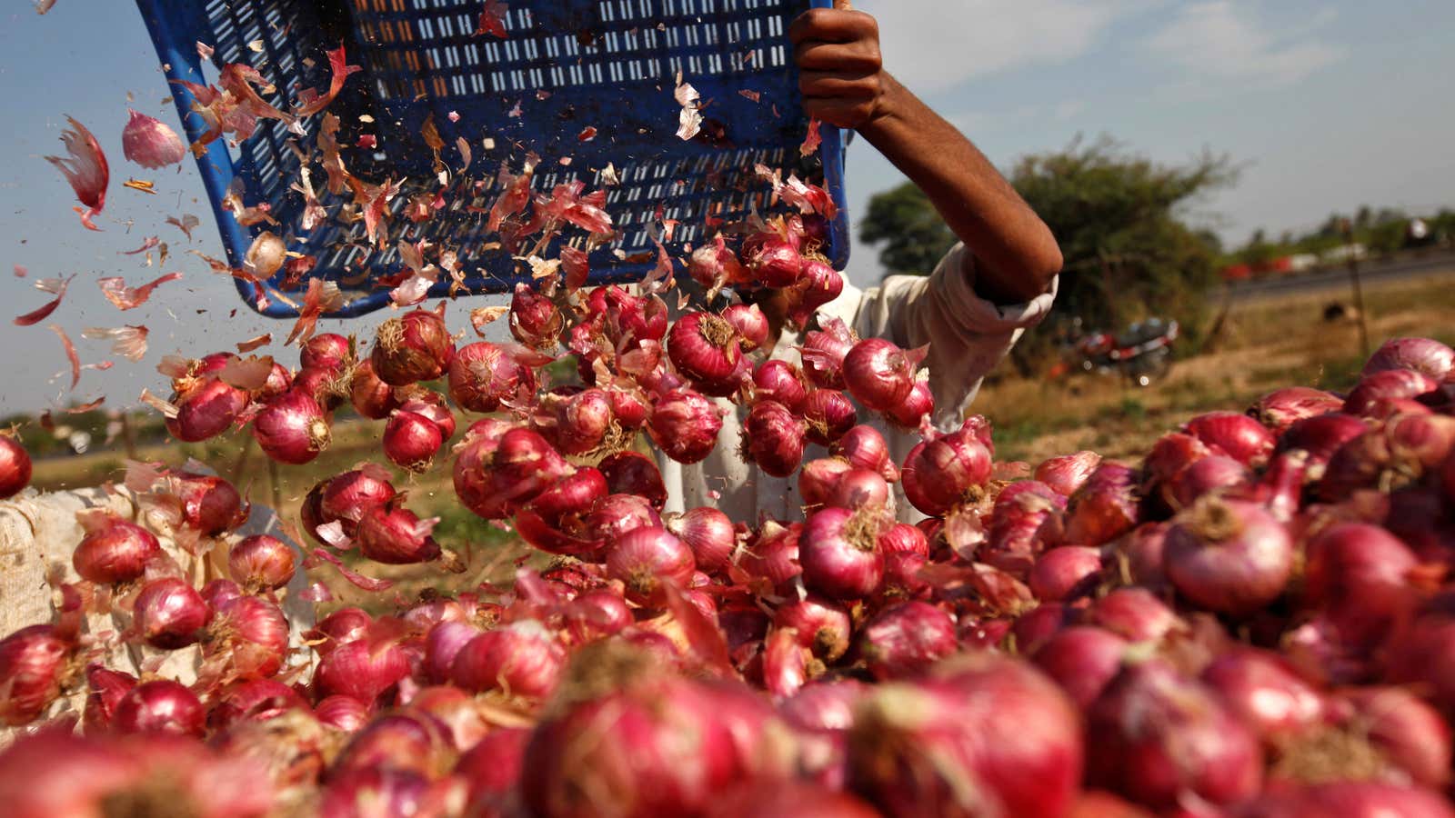 Onions could be India’s next political hot potato.