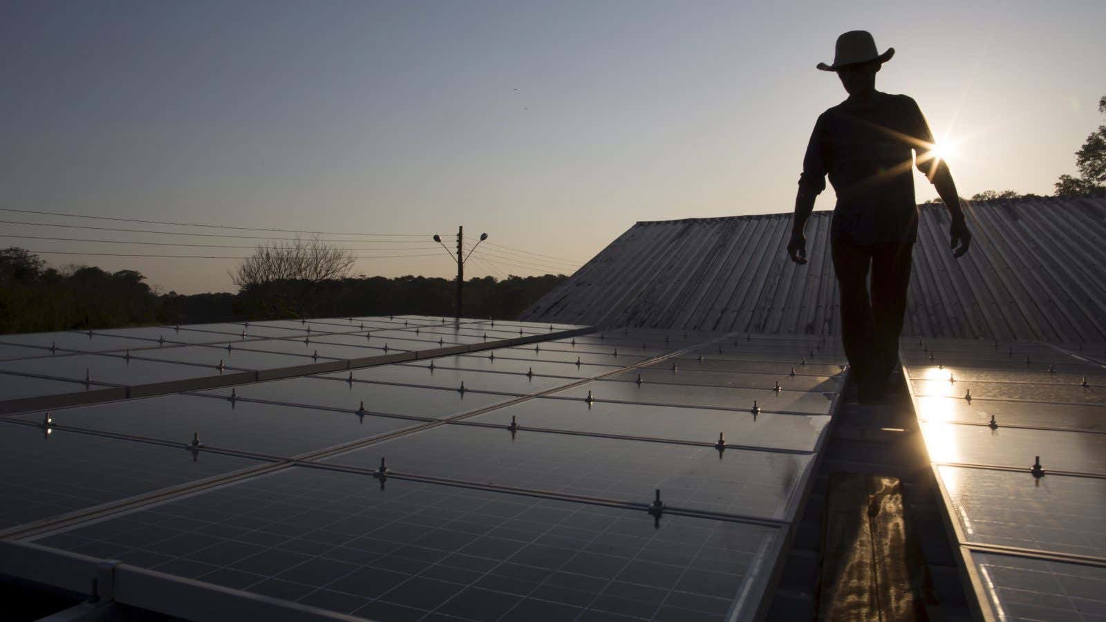 Evening on the solar ranch.