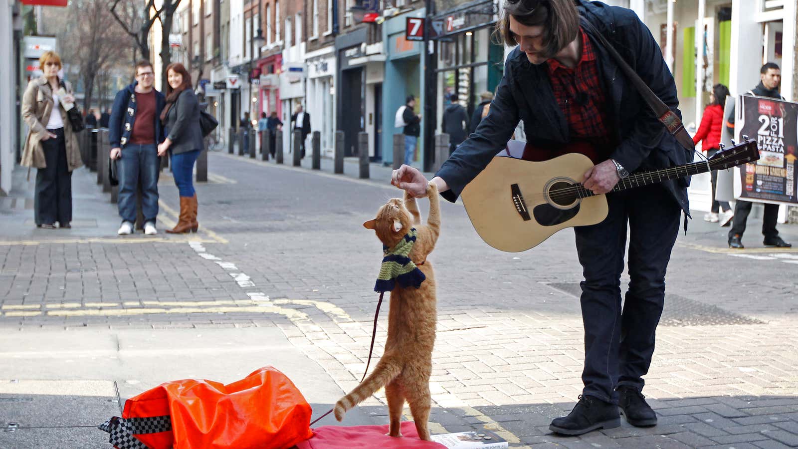 What is this, one measly Dogecoin? Reuters/Luke MacGregor