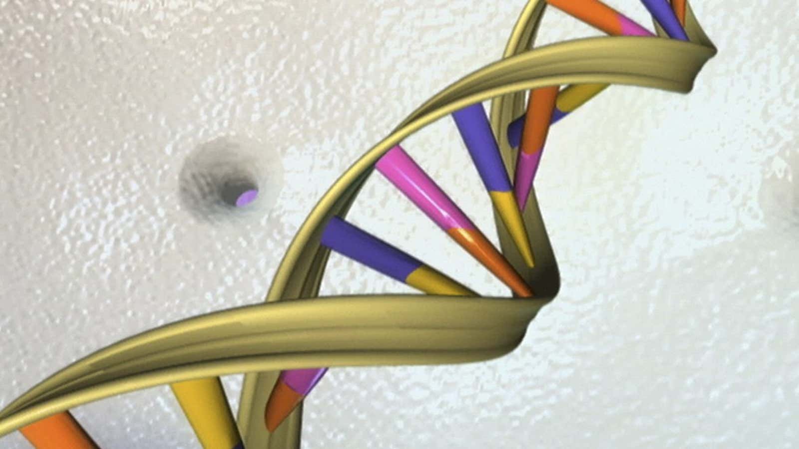 A DNA double helix