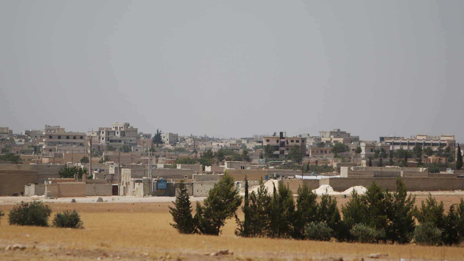 The city of Manbij, where the airstrike occurred.