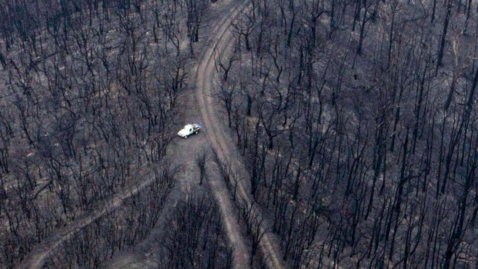 Wildfires leave ash and carbon emissions in their wake.