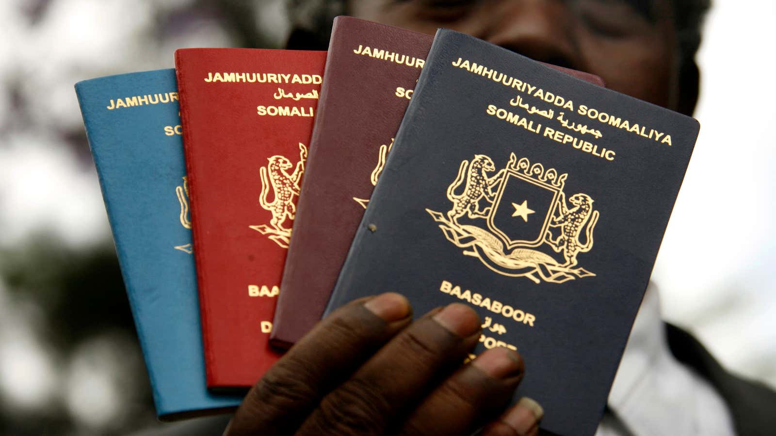 Africas Most Powerful Passports Seychelles Strengthens While Somalia Struggles 7349