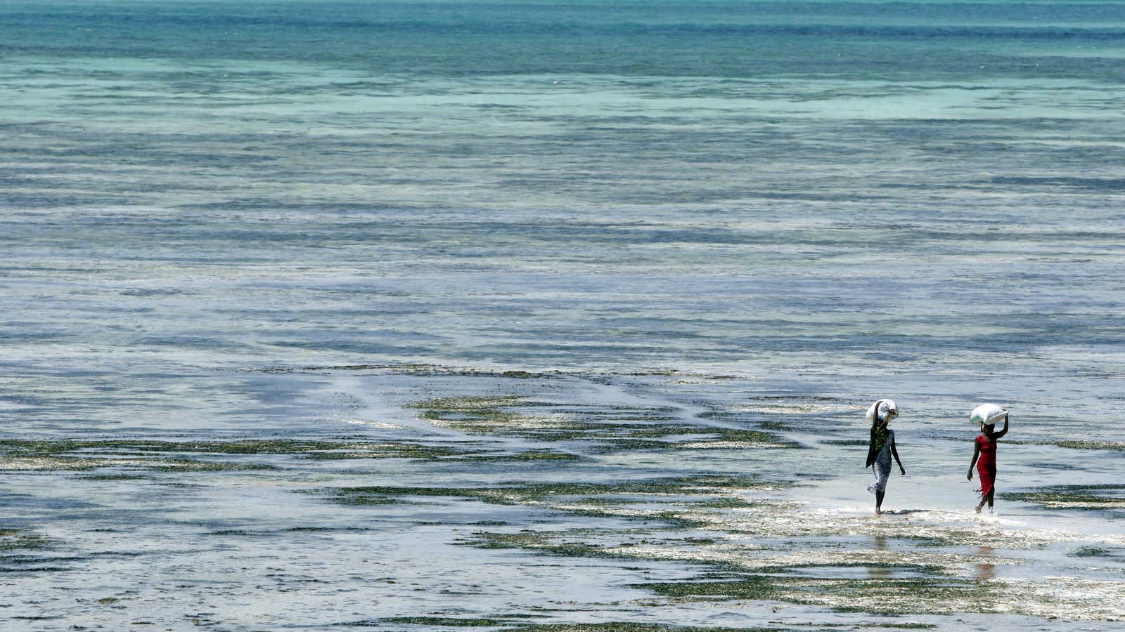 The south east coast of Zanzibar